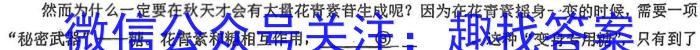 2023届河北省高三4月联考语文