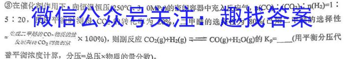 2023年万友中考模拟卷（五）化学