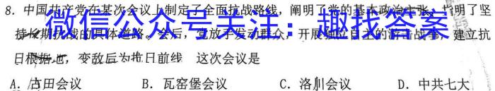 2023年九师联盟高三年级4月质量检测（X）政治s