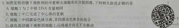 2023年陕西省初中学业水平考试·全真模拟（四）B卷生物