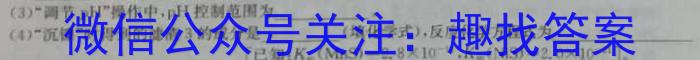 2023衡水金卷先享题信息卷新高考新教材(一)化学