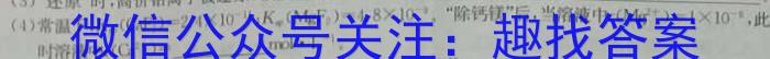 安徽第一卷·2023年安徽中考信息交流试卷（七）化学