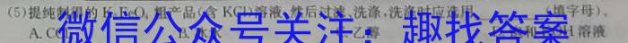 江西省2023年赣北学考联盟第一次联考（九年级）化学