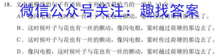 [合阳县]2023年初中学业水平考试·全真模拟卷(一)A语文