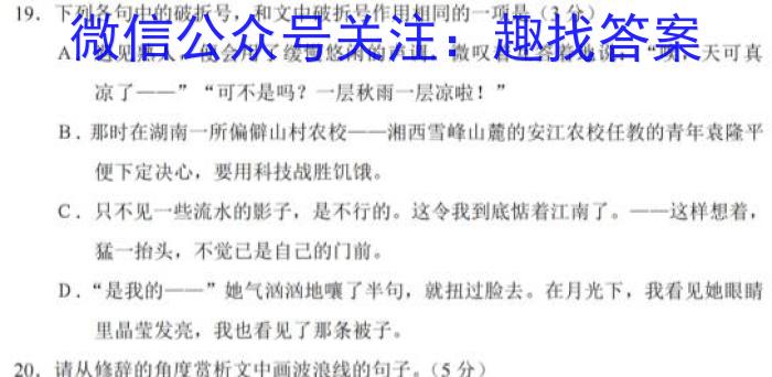 2022-023学年安徽省九年级下学期阶段性质量监测（六）语文