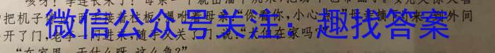 陕西省2023届九年级模拟检测卷(23-CZ135c)语文