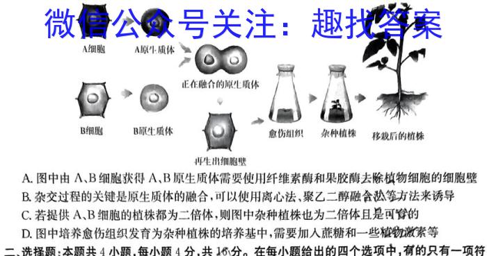 衡中同卷2022-2023下学期高三二调(新教材)生物试卷答案