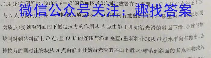 江西省2023届九年级《学业测评》分段训练（六）物理`