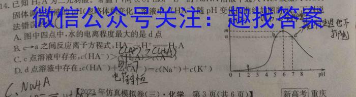 2023年陕西省初中学业水平考试•全真模拟（三）A版化学