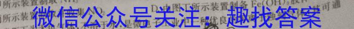 江西省2023届九年级江西中考总复习模拟卷（一）化学