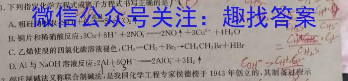 安徽2022~2023学年九年级联盟考试(二)(23-CZ125c)化学