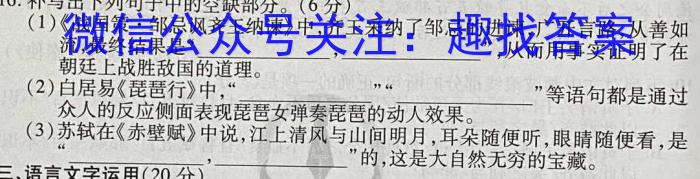 天一大联考·2023届高考冲刺押题卷（三）语文