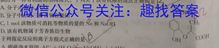 衡水名师卷 2023年辽宁名校联盟·信息卷(五)化学