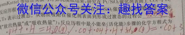 2023年普通高等学校招生全国统一考试标准样卷(六)化学