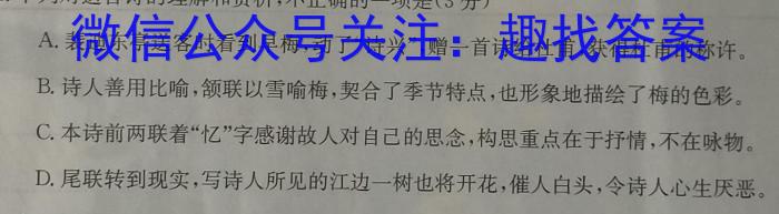 山西省晋城市阳城县2023年中考模拟练*语文