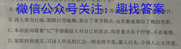 益阳市2023年高三年级4月统考语文