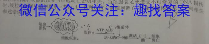山西省2023年初中毕业班综合测试生物
