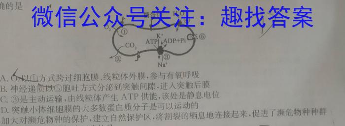 [岳阳二模]岳阳市2023届高三教学质量监测(二)生物