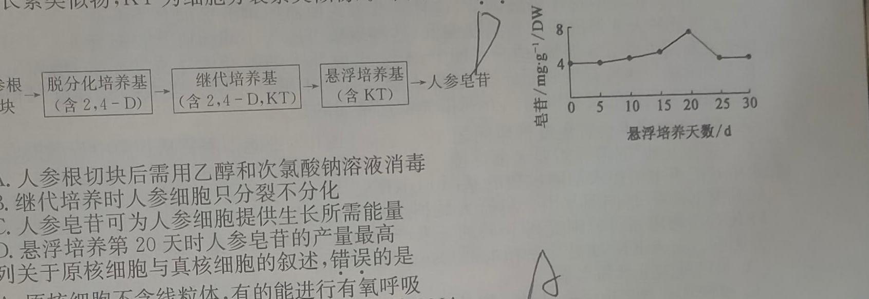青桐鸣高考冲刺 2023年普通高等学校招生全国统一考试冲刺卷(一)生物
