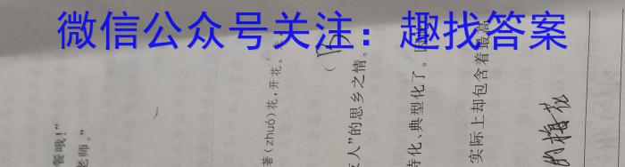 天一大联考 2022-2023学年高中毕业班阶段性测试(六)语文