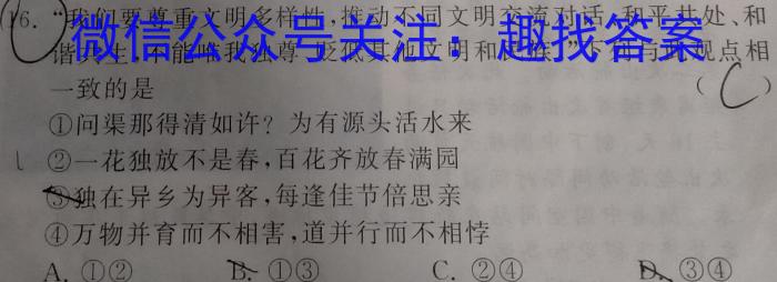 九师联盟 2024~2023学年高三核心模拟卷(下)四q地理