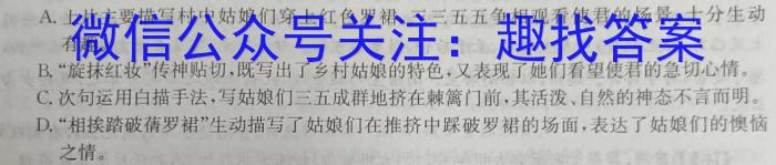 2023届江西省高三阶段性考试(23-361C)语文