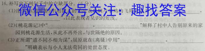 2023湖北十一校第二次高三3月联考语文