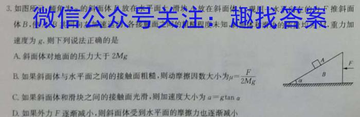 洛平许济高三三检l物理