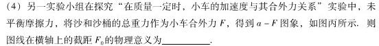 2023年普通高等学校招生全国统一考试金卷仿真密卷(十一)11 23新高考·JJ·FZMJ-物理