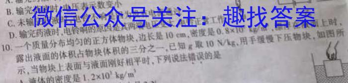 2023年普通高等学校招生全国统一考试金卷仿真密卷(十二)12 23新高考·JJ·FZMJ.物理