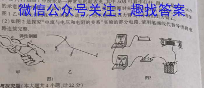 河南省周口市项城市2024届八年级下学期阶段性评价卷一物理`