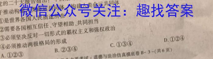 安徽省2025届七年级下学期教学评价一政治~