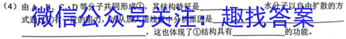 2023年全国新教材地区高三考试3月百万联考(911C)生物