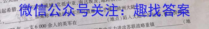 安徽省2023年名校之约·中考导向总复习模拟样卷（八）历史