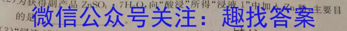 山西省2022~2023学年度七年级下学期期中综合评估 6L化学