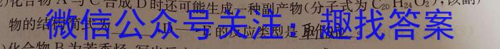 陕西省2023年陈仓区初中学业水平模拟考试（I）化学