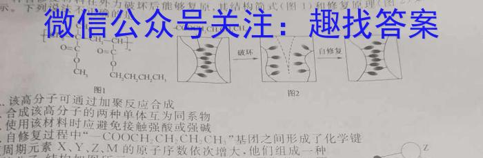 2023届全国普通高等学校招生统一考试(新高考)JY高三模拟卷(七)化学