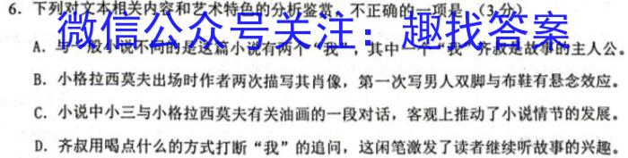 华中师大附中2023届高三第二次学业质量评价检测语文