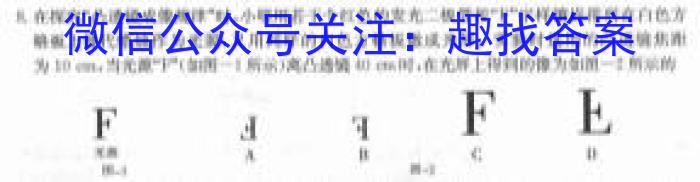 河南省三门峡市2023年中招第一次模拟考试.物理