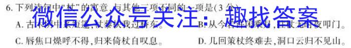 安徽省2023年九年级中考第一次模拟考试（新安中学）语文