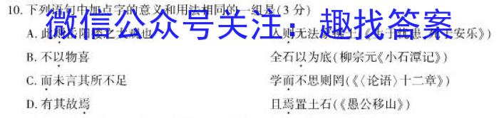 2024届普通高等学校招生全国统一考试青桐鸣高二3月大联考语文