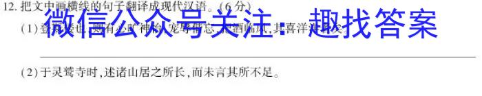 湘考王大联考高三3月2023语文