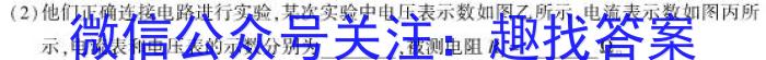 2023江西稳派智慧上进高三3月联考.物理