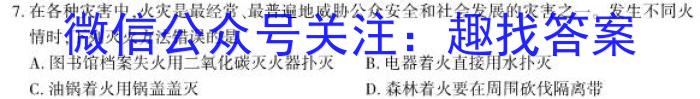 江西省2022-2023学年度八年级下学期期中综合评估（6LR）化学