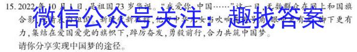 百师联盟2023届高三冲刺卷（一）新高考卷地理.