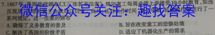 安徽省2023届九年级下学期教学评价二（期中）历史