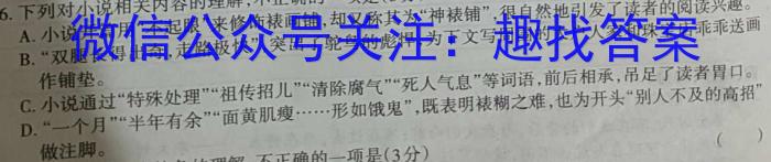 2023年陕西省初中学业水平考试全真模拟（四）A卷语文