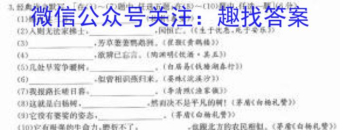 2023年普通高等学校招生全国统一考试信息模拟测试卷(新高考)(三)语文