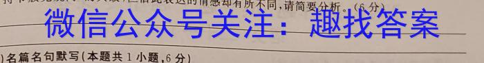 超级全能生2023届高考全国卷地区高三年级3月联考(3319C)语文