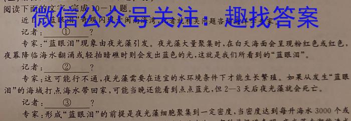 2023届全国普通高等学校招生统一考试 JY高三模拟卷(六)语文